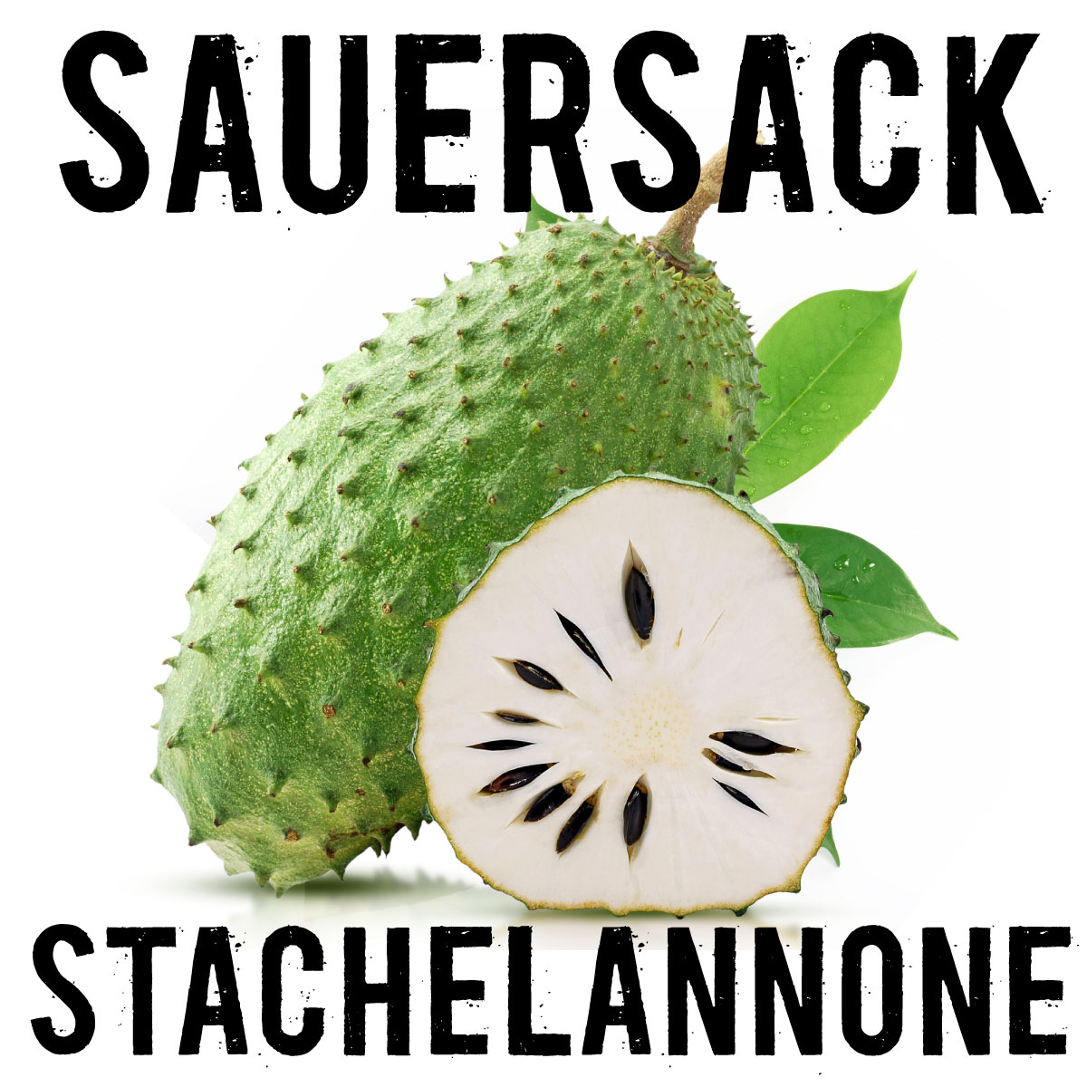 Service/Feature Image